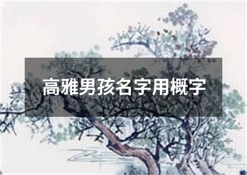 高雅男孩名字用概字