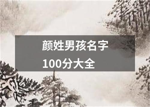 颜姓男孩名字100分大全