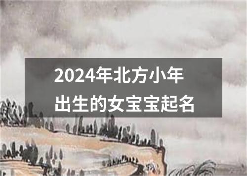 2024年北方小年出生的女宝宝起名