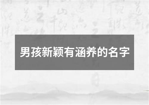 男孩新颖有涵养的名字