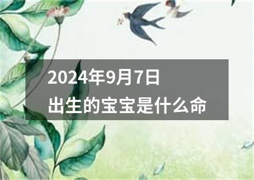 2024年9月7日出生的宝宝是什么命