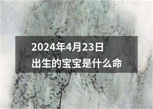 2024年4月23日出生的宝宝是什么命