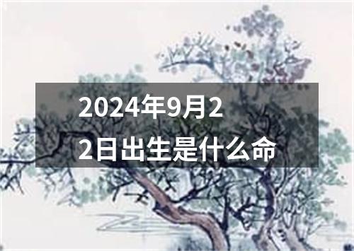 2024年9月22日出生是什么命