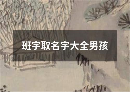 班字取名字大全男孩