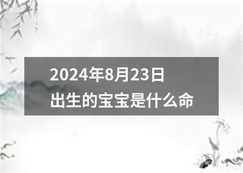 2024年8月23日出生的宝宝是什么命