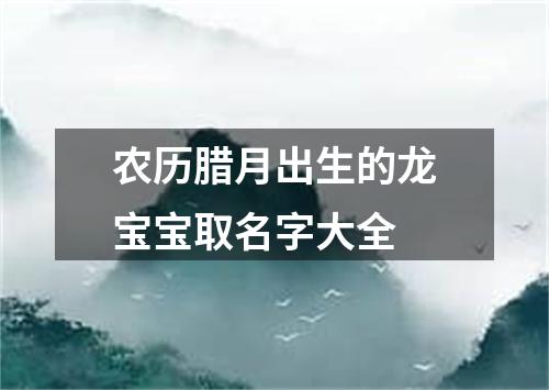 农历腊月出生的龙宝宝取名字大全