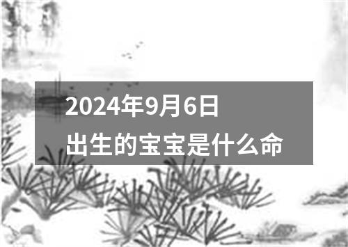 2024年9月6日出生的宝宝是什么命