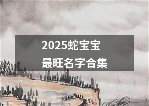 2025蛇宝宝最旺名字合集