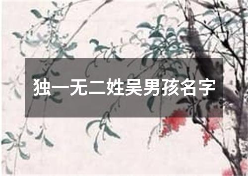 独一无二姓吴男孩名字