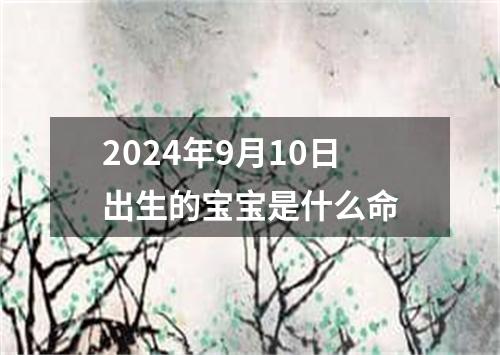 2024年9月10日出生的宝宝是什么命