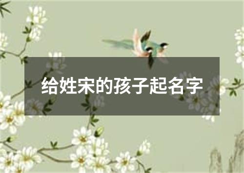 给姓宋的孩子起名字