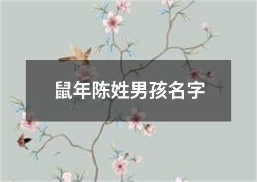 鼠年陈姓男孩名字