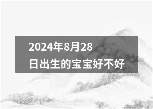 2024年8月28日出生的宝宝好不好