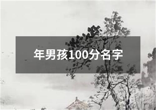 年男孩100分名字