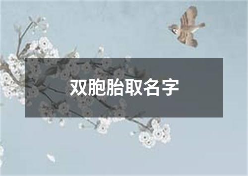 双胞胎取名字