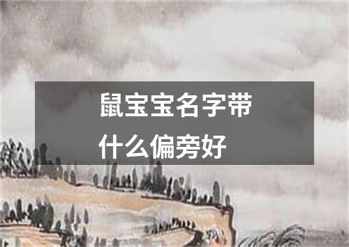 鼠宝宝名字带什么偏旁好