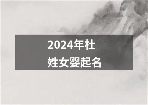 2024年杜姓女婴起名