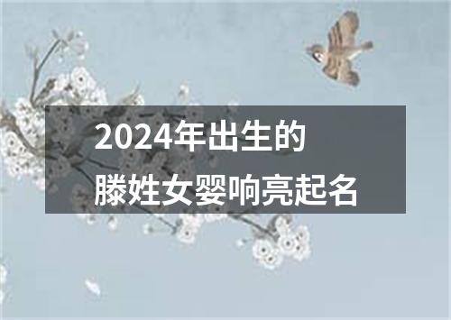 2024年出生的滕姓女婴响亮起名