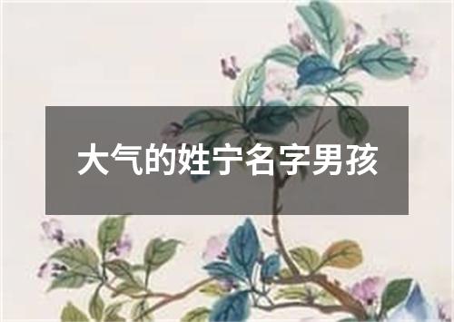 大气的姓宁名字男孩