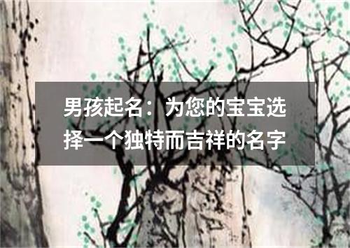 男孩起名：为您的宝宝选择一个独特而吉祥的名字