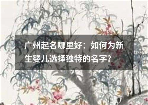 广州起名哪里好：如何为新生婴儿选择独特的名字？