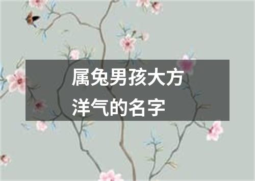 属兔男孩大方洋气的名字