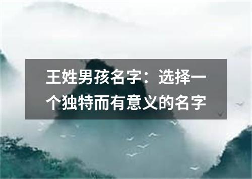 王姓男孩名字：选择一个独特而有意义的名字