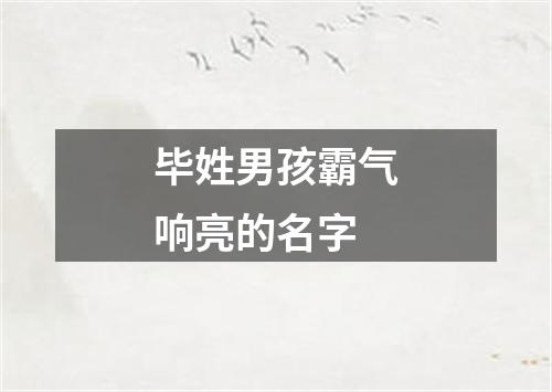 毕姓男孩霸气响亮的名字