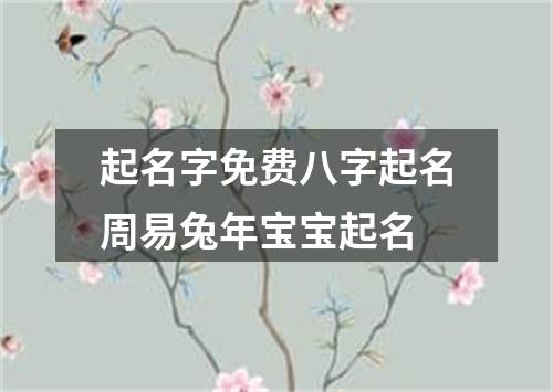 起名字免费八字起名周易兔年宝宝起名