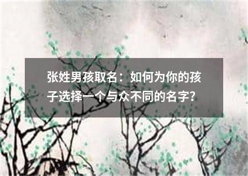 张姓男孩取名：如何为你的孩子选择一个与众不同的名字？