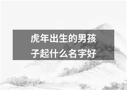 虎年出生的男孩子起什么名字好