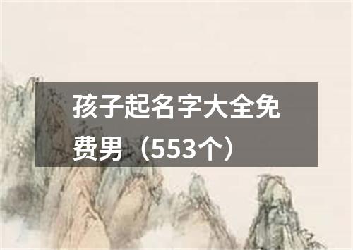 孩子起名字大全免费男（553个）