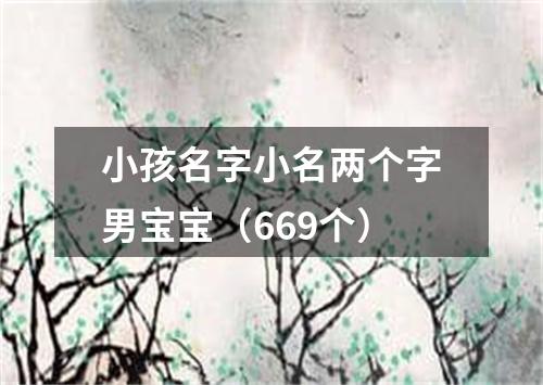 小孩名字小名两个字男宝宝（669个）