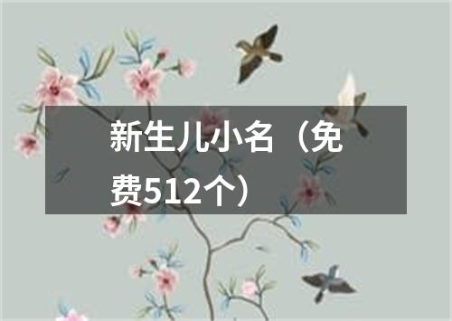 新生儿小名（免费512个）