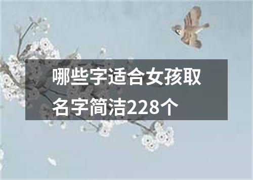 哪些字适合女孩取名字简洁228个