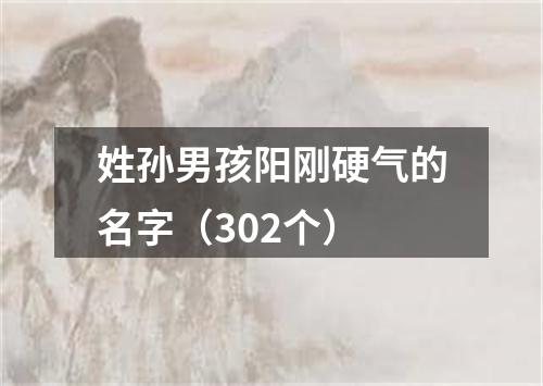 姓孙男孩阳刚硬气的名字（302个）