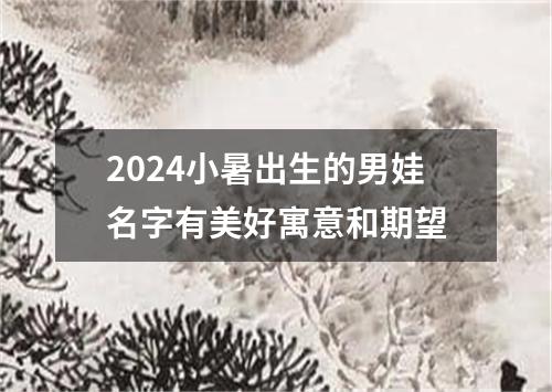 2024小暑出生的男娃名字有美好寓意和期望