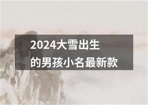 2024大雪出生的男孩小名最新款