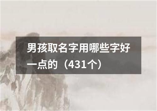 男孩取名字用哪些字好一点的（431个）