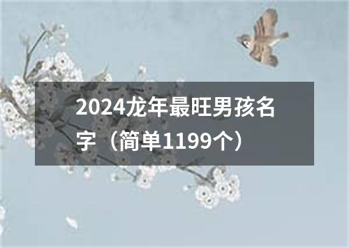 2024龙年最旺男孩名字（简单1199个）