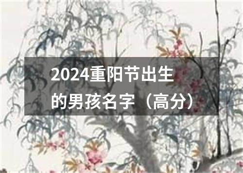 2024重阳节出生的男孩名字（高分）