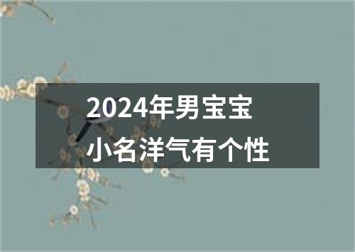 2024年男宝宝小名洋气有个性