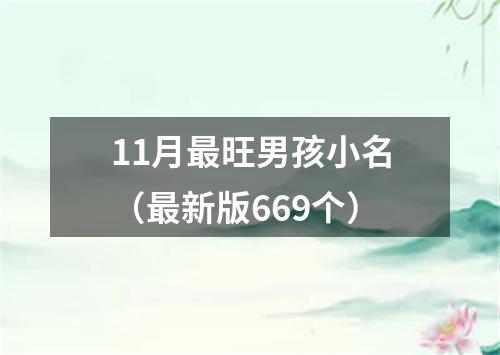 11月最旺男孩小名（最新版669个）