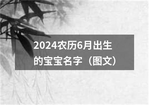 2024农历6月出生的宝宝名字（图文）