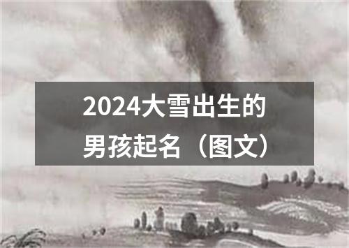 2024大雪出生的男孩起名（图文）