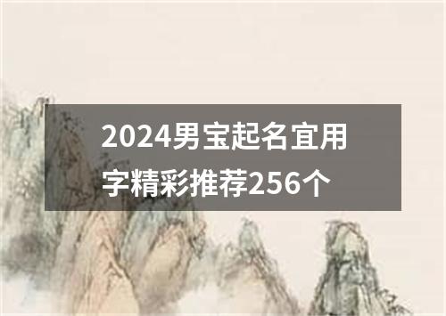 2024男宝起名宜用字精彩推荐256个