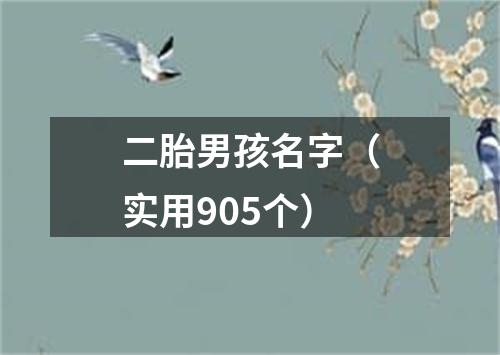 二胎男孩名字（实用905个）