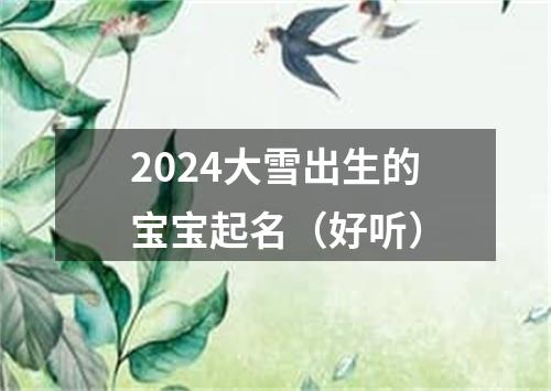 2024大雪出生的宝宝起名（好听）