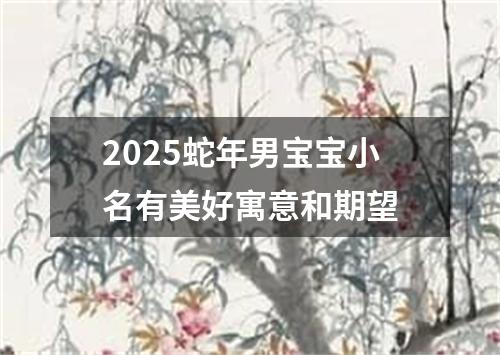 2025蛇年男宝宝小名有美好寓意和期望