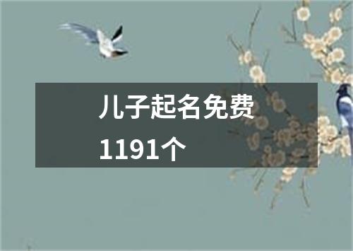 儿子起名免费1191个